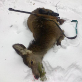 V tejto sezóne posledné.