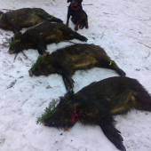 Takto Jetyho deň skončil.