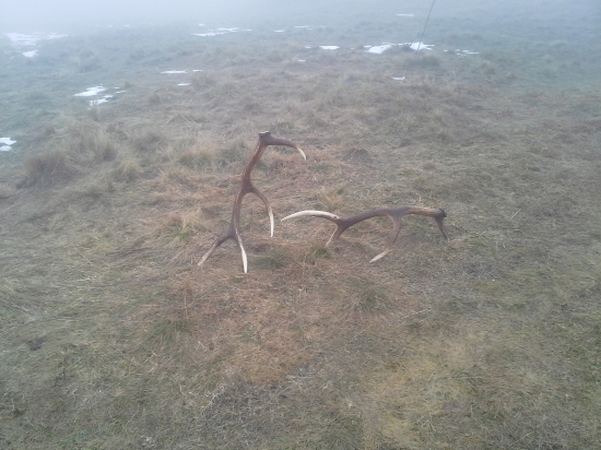 Prvý pohľad bez úpravy.