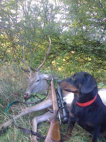 Môj pomocník Jety.