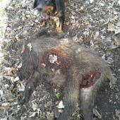 Jety začal tohoročnú sezónu znovu úspešne.