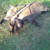 Začiatok sezóny 2016.