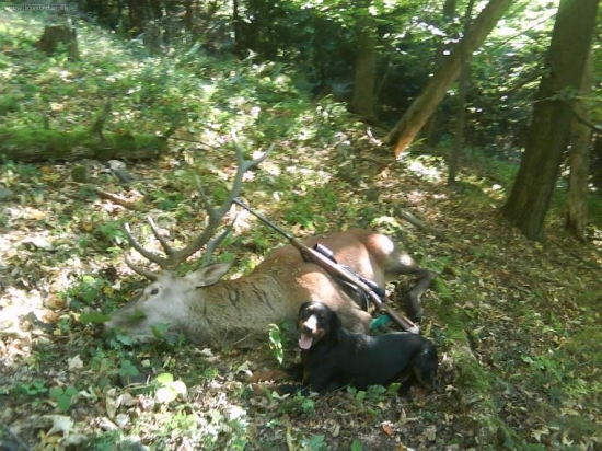 Jety Belanská jaskyňa pri dohľadaní zveri