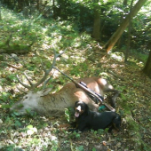 Jety Belanská jaskyňa pri dohľadaní zveri