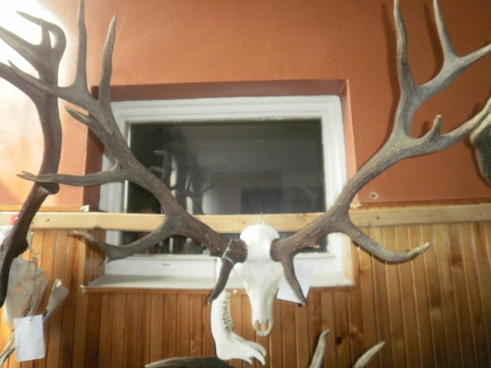 ...medailový borec.