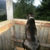 ...ďalšie oči na posede