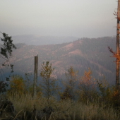 ...potulkami za jeleňom.