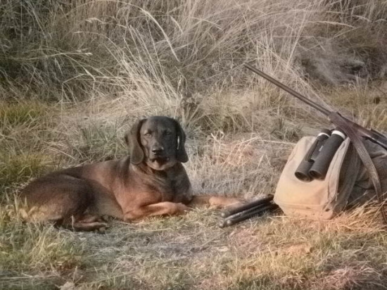 ...postrážim pánovi veci.