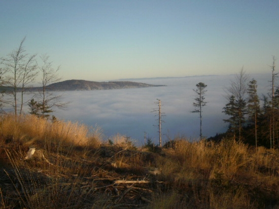 ...v nedeľu na polovačke.