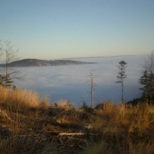 ...v nedeľu na polovačke.