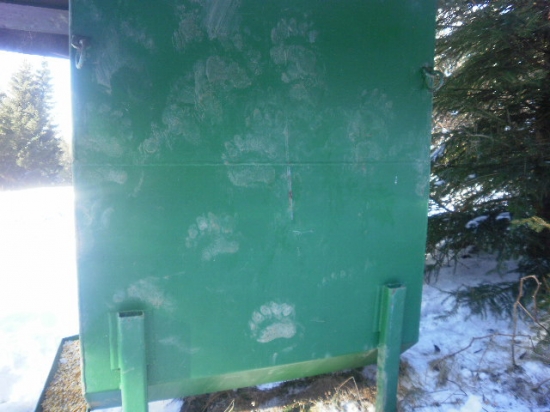 ...aj maco sa chcel pred spánkom dokrmiť kukuricou.