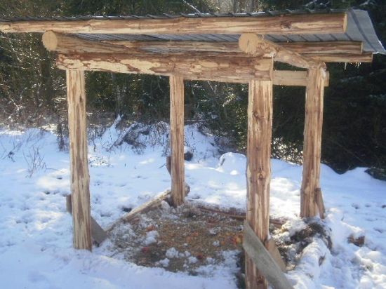 Poľovníci v Bachledovej sa činili...