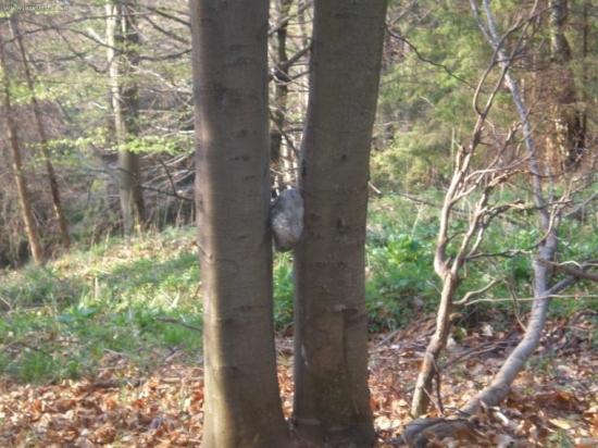 Jedno z mojich solísk.