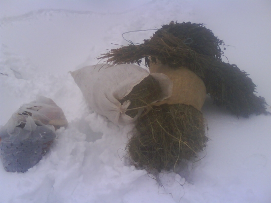 ...sobotné prikrmovanie