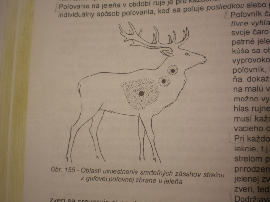 ...smrteľné zásahy