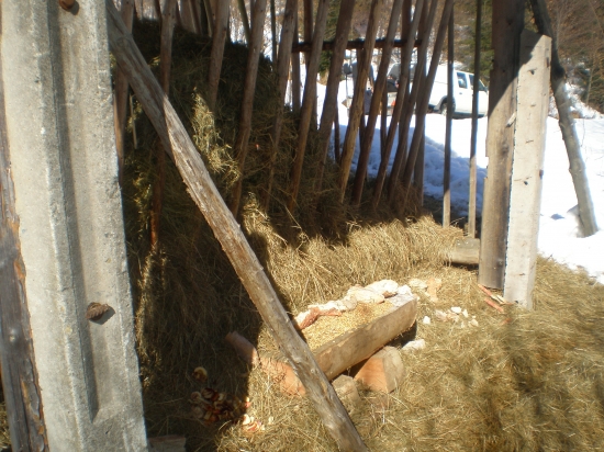 AJ dnes sme prikrmovali