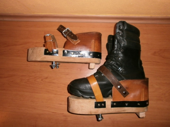 ...v poradí štvrté dreváky