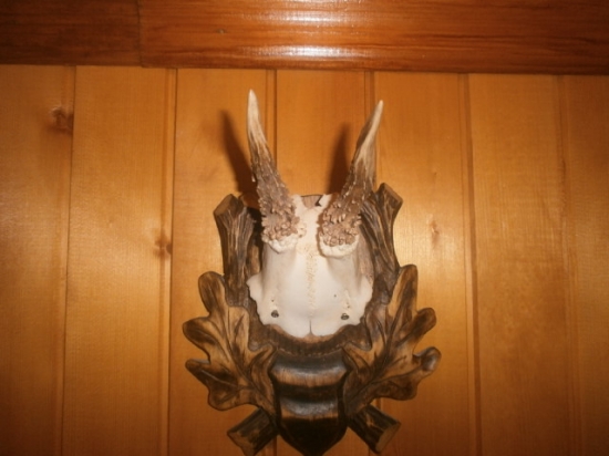 ...najdený farbiarom.