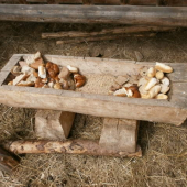 ...trocha pod zub na prilepšenie