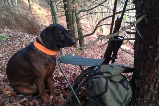 ...čakanie na vysokú