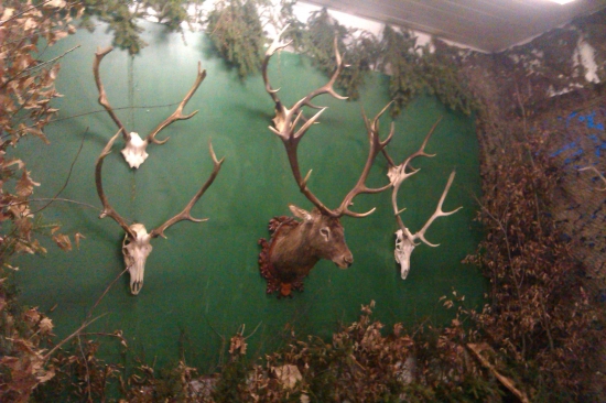 ...výzdoba na poľ.plese