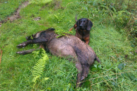 ...z nedeľneho rána