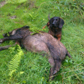 ...z nedeľneho rána