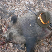 ...jeden z mojich úlovkov