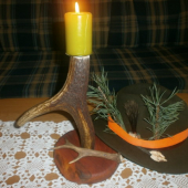 ...pokrstená diviačia štetka.