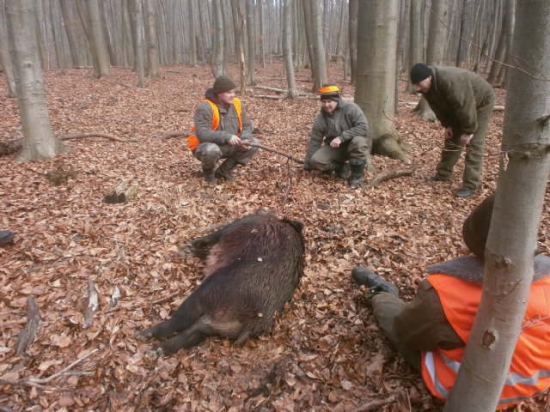 ...aj šiesti sme mali čo robiť