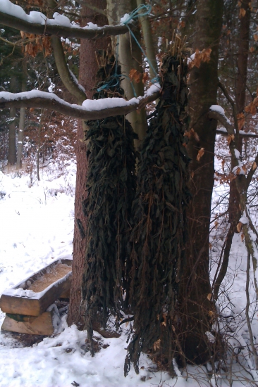 bol som pridať zveri zopár ,,vitamínov