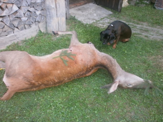 ...ako som si strážil svoj úlovok pred dotieravými osami!