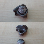 Strela Sako Hammerhead 11,7g, 308W-zostatková hm.7,4g.