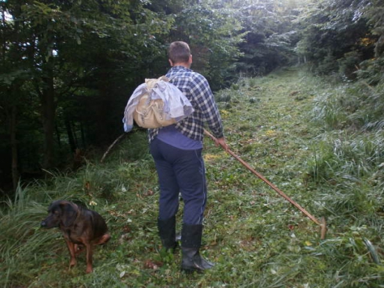 ...príprava na sezonu-čistenie a kosenie polov. chodníkov.