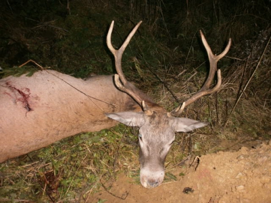 ...tak aj ja mám ll. VT