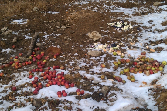 ...trocha vitamínov som zveri doniesol...