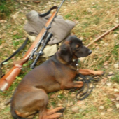 ...na posliedke za jeleňom.