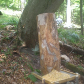 Moje krmne zariadenie