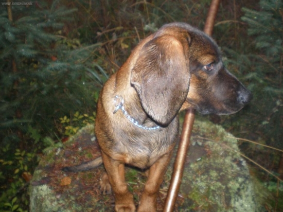 ...keď som mal 4 mesiace