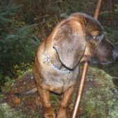 ...keď som mal 4 mesiace