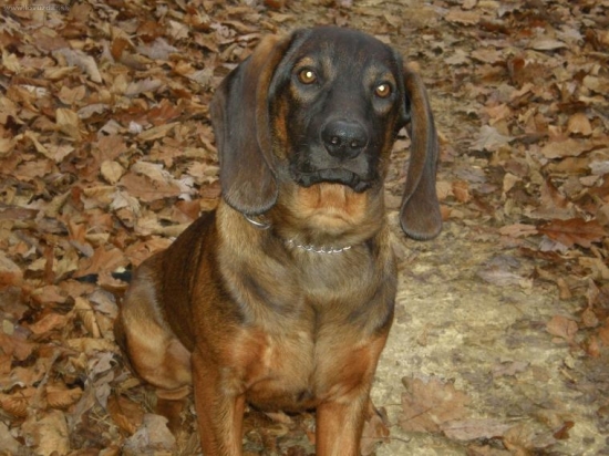 ...už mám 5 mesiacov.