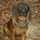 ...už mám 5 mesiacov.