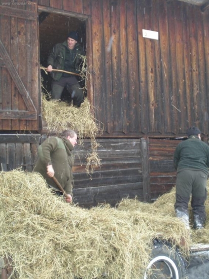 Dnešné prikrmovanie