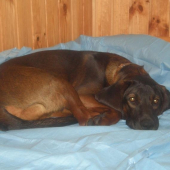 ...ach ale som unavený.