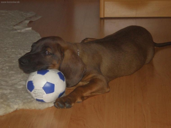 Spomienka na mladosť.