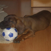 Spomienka na mladosť.