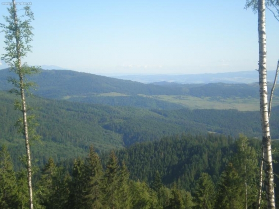 Už aby tak bolo(výhľad na náš revír)