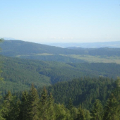 Už aby tak bolo(výhľad na náš revír)