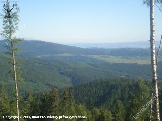 Už aby tak bolo(výhľad na náš revír)