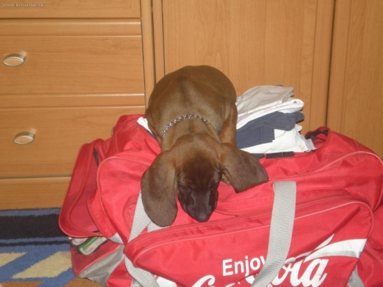 ...aj ja chcem ísť s vami